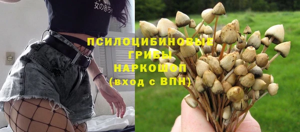 мяу мяу мука Киреевск