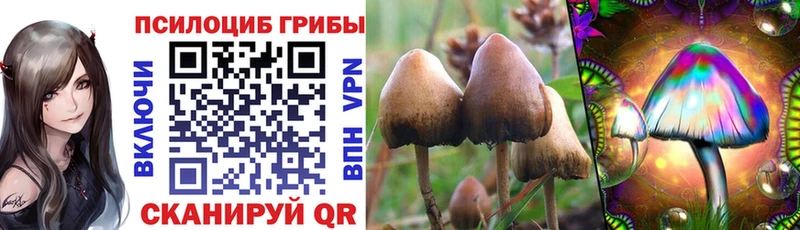 магазин продажи   Липецк  Галлюциногенные грибы мухоморы 